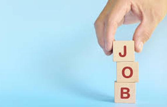 46,000+ Graduates and Postgraduates Apply for Sanitation Staff Positions