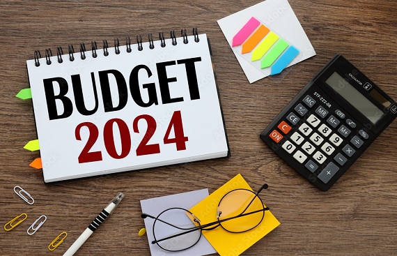 Unveiling Interim Budget 2024: Implications on Industries, Policy Reformation, and Beyond