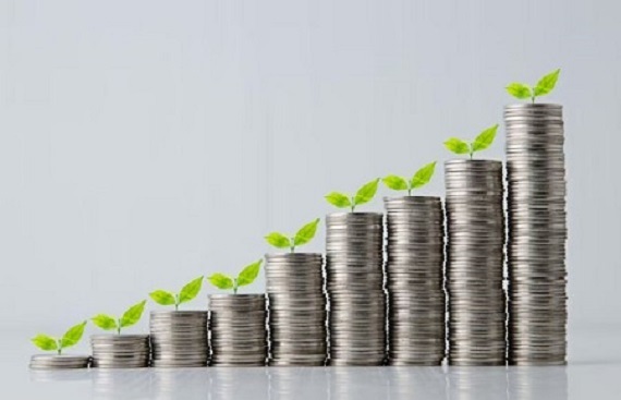 Fancy Jewelry Startup Giva's Revenue touches Rs. 274 crore in FY24