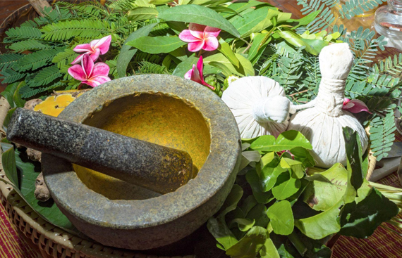 Healing Through Herbs: The Science Behind Herbal Remedies