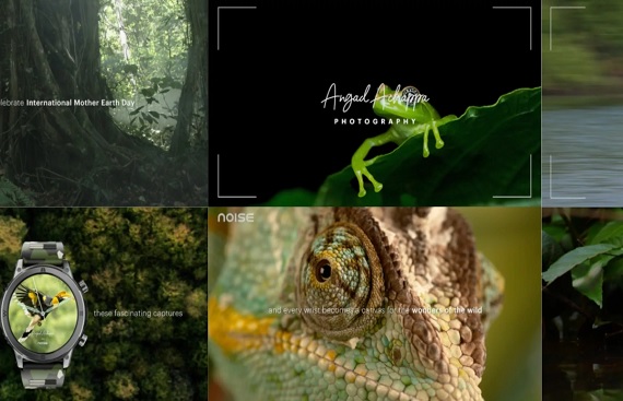 Noise Unveils 'Noise For Nature' Campaign in Honor of Earth Day