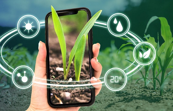 AgriStack : How the technology impact through Agriculture's New Digital Push
