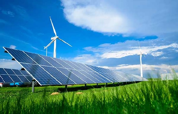 India and UAE Boost Renewable Energy Ties