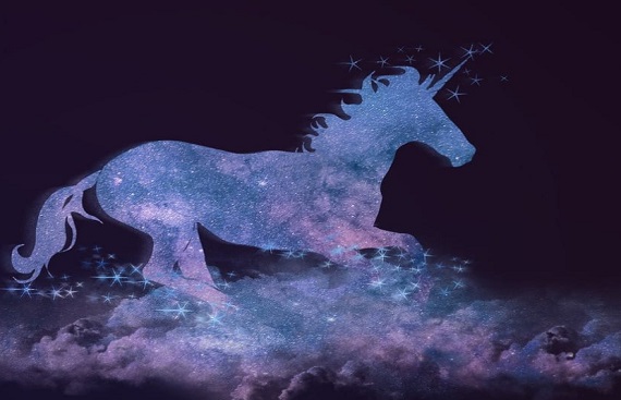 India's future unicorns worth $49 billion, says Hurun Research Institute report