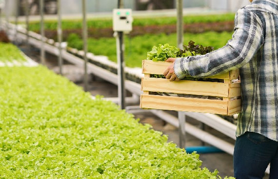 Ninjacart Fuels Agri Commerce Innovation in Brazil Through Landmark Deal with Arado