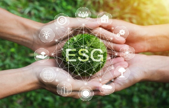 Why ESG Matters in Sustainable Investment Decisions