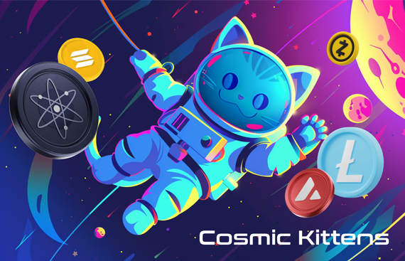 Cosmic Kittens (CKIT) vs Polygon - Evaluating Growth Projections for 2024