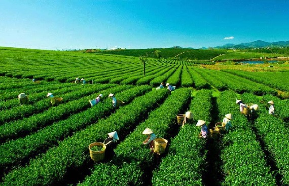 Assam govt signs MoU with Caspian Impact Investment Adviser to launch an SME investment fund to boos