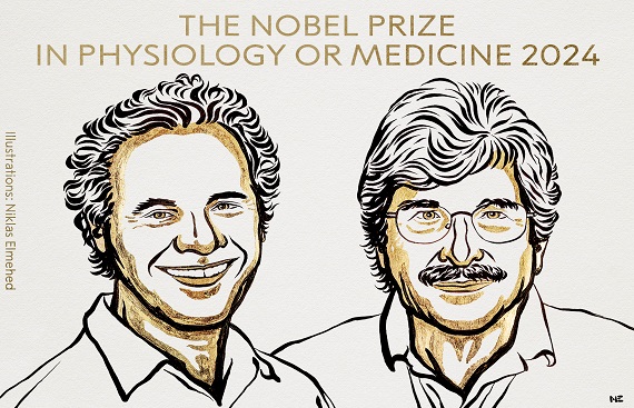 US Scientists Awarded 2024 Nobel Prize in Medicine for microRNA Discovery