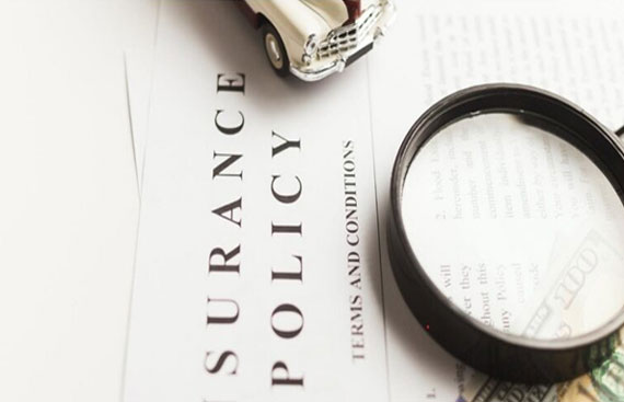 Understanding Different Types 