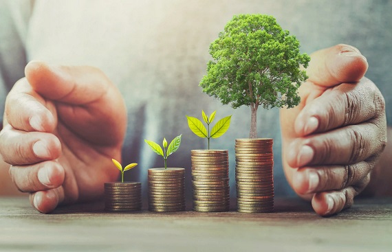 Budget 2025: India Considers Credit Guarantee Fund to Boost Green Financing