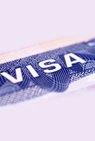 49 Percent Of The U.S. Visas Are Issued To The Indians