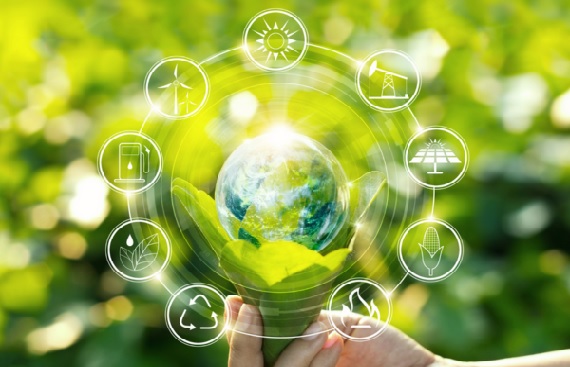 LSP Renewables Expands Green Investments Division with Key Appointments