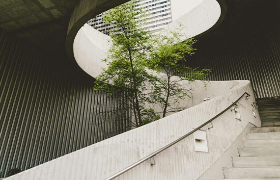 Why Should You Follow The Eco-Digital Trends And Start A Sustainable Business?