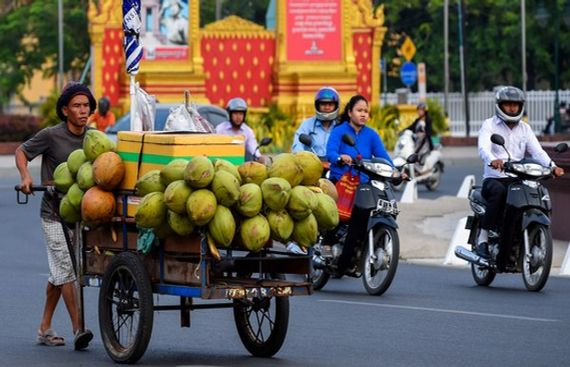 Niu Neer coconut delivery app to serve coconut water