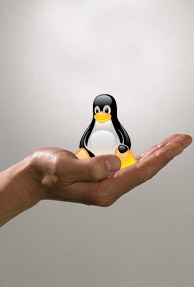 A Linux server that fits in your palm