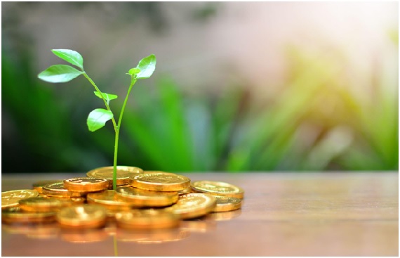 An Elaborate Guide to Use an RD Calculator