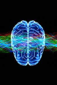 Scientists to build 3D brain-density processors