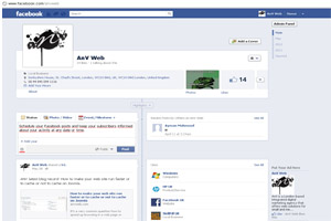 Facebook Posts More Memorable Than Faces