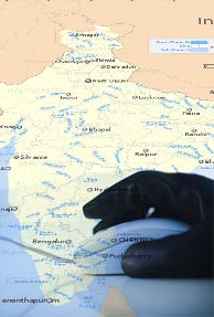 Cybercriminals to target Indians in events like IPL, World Cup