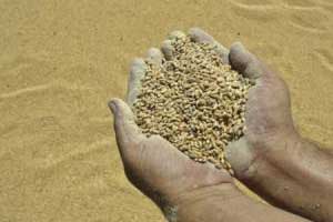 No Solution to India's Hunger Problem: Loss of Rs. 45 Cr Worth of Food Grain in 5 yrs 