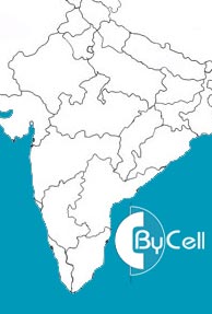 FIPB will reconsider ByCell's mobile services proposal 