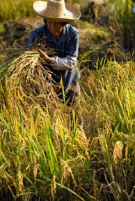 Philanthropy? Global billionaires turn to India