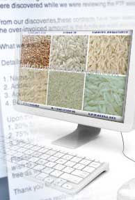 Ration card holders to get online food account