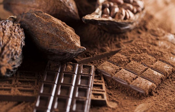 Chennai start-up Cocoashala aim to assist entrepreneurs build a low investment bean to bar chocolate unit