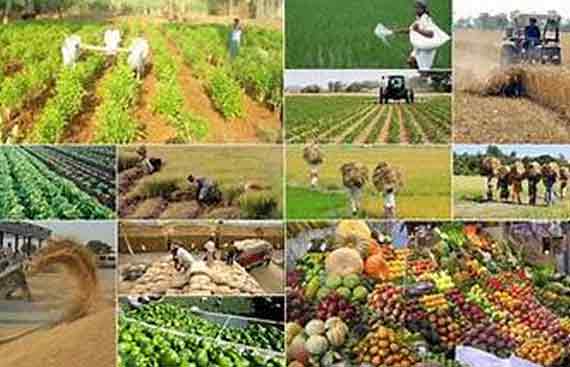 US Agribusiness Poised to Capitalize on India's Booming Market