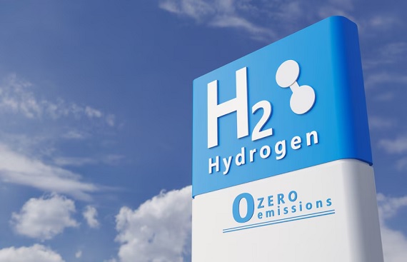 Global Meet in Delhi Discusses Hydrogen Transport Business Models