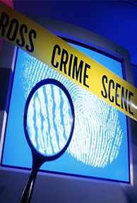 South Africa to Fight Cyber Crime with New Policy