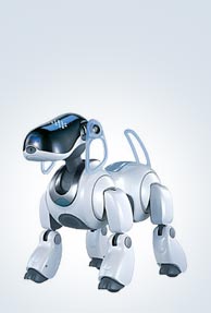 India developing e-dog to sniff out explosives