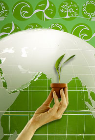 India not a sweet spot for green tech to spur