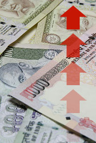 44 percent execs expect Indian economy to recover by 2010
