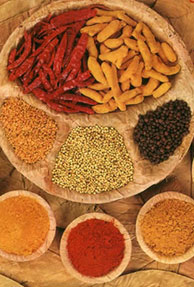 Save your children; Indian spices contain lead 