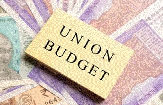 Andhra CM Meets Shah, Seeks Higher Allocation for State in Union Budget