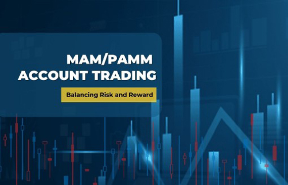 Diversification Techniques In MAM/PAMM Account Trading: Balancing Risk And Reward