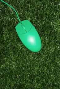 Large Indian firms show more interest in green IT 