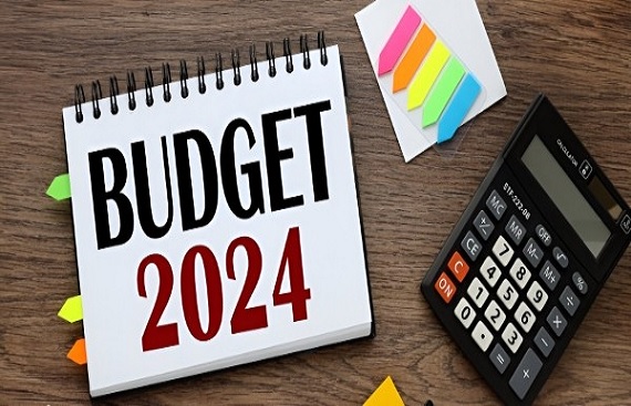 Union Budget 2024-25: NSEFI Calls for Key Fiscal Amendments to Power Renewables
