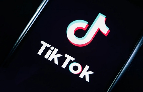 TikTok Remains Banned in India Despite Brief Website Access