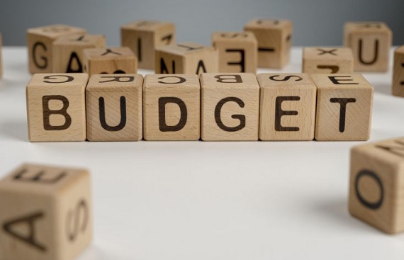 Budget 2025: Addressing Forex Reserves and Rupee Volatility