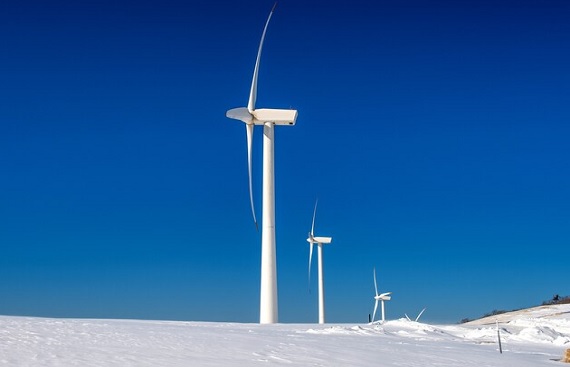 Hyundai Motors India Commits to 100% Renewable Energy