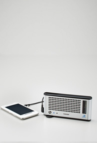 Now, methanol fuel cell to charge mobile externally