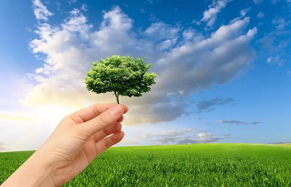 Investors Taking a Shine to Indian Climate Tech Space