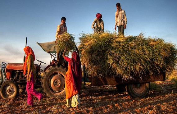 Government approves bouquet of schemes for farmers with an outlay of Rs 3,70,128 crore