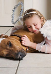 Pet owners are healthier, happier