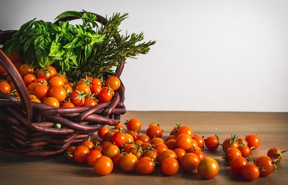 Ninjacart in association with Kilofarms successfully produces first set of Residue-Free Tomatoes