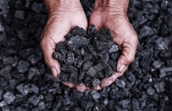 Coal India's Q3 Profit jumps to Rs 9,069 Crore, announces Rs 5.25 per share Interim Dividend