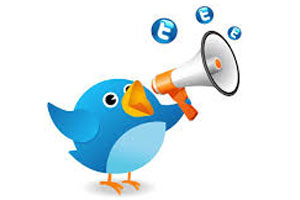 Top 15 Tweeters Of 2013 Revealed